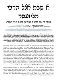 תמונה ממוזערת של א שבת אצל הרבי מליזענסק